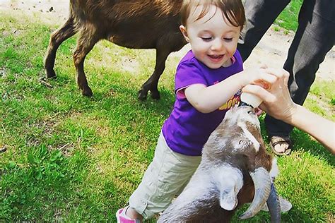 animal farm in long island|The Best Animal Farms and Petting Zoos on Long .
